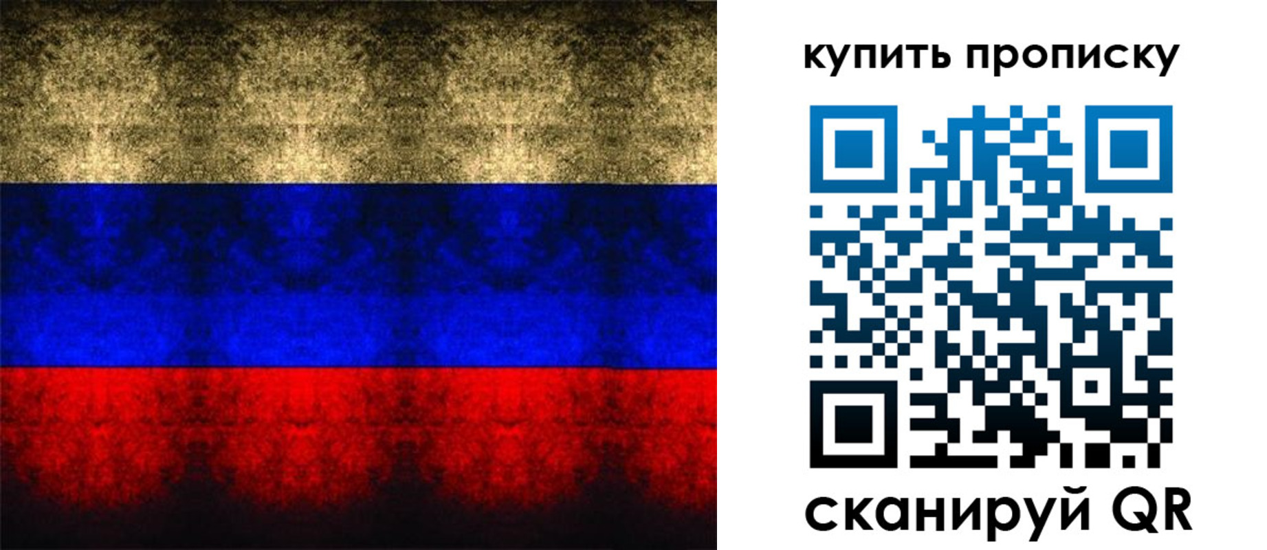 прописка в Мытищах